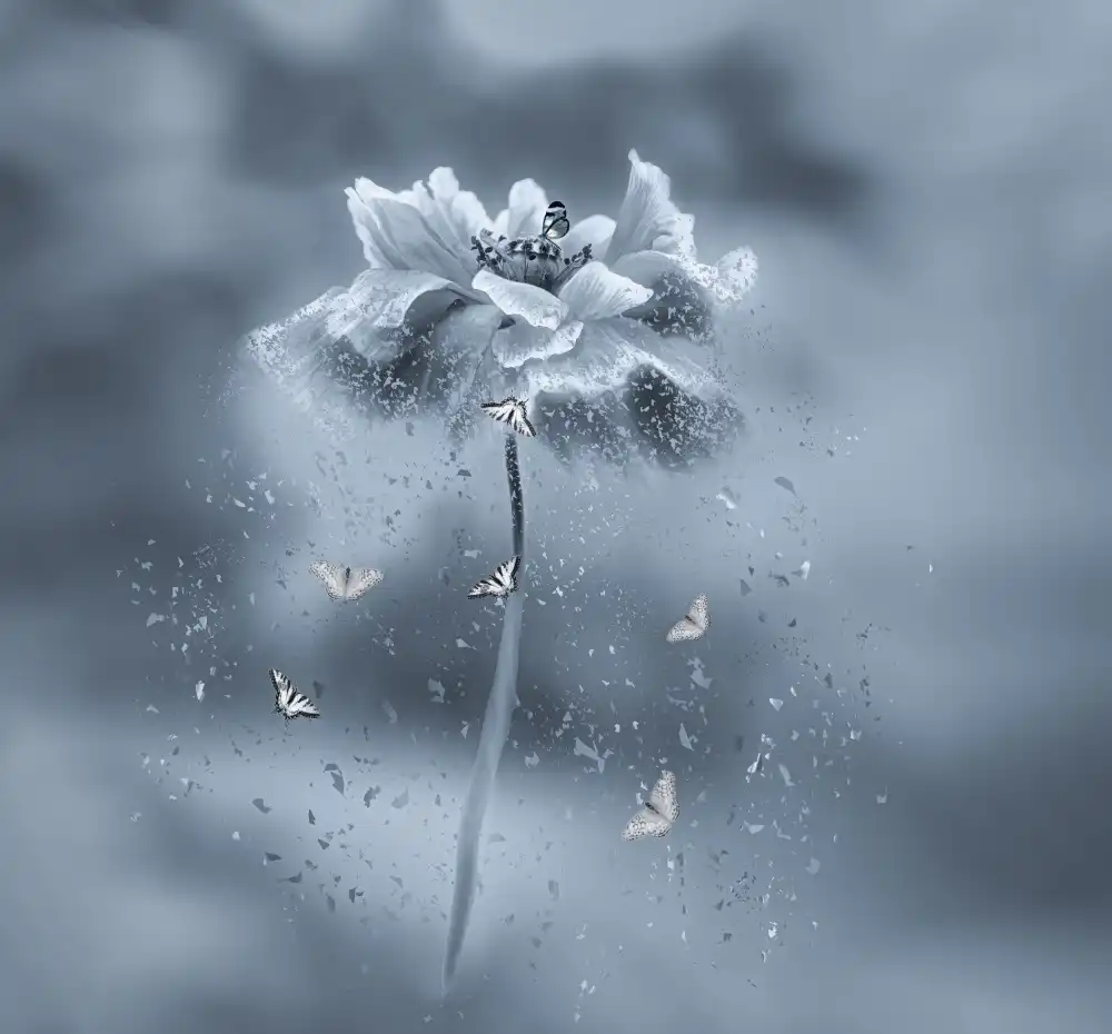 Hongchao, and Gu: flor danzante