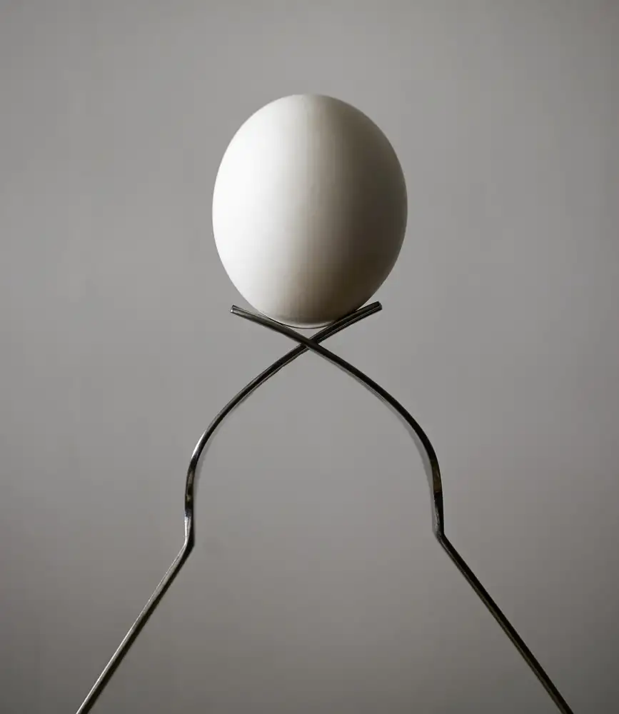 zyfeller: Intitulado