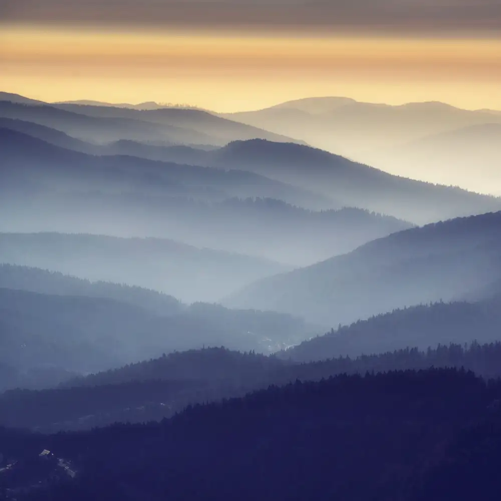 nedelcu, ian mihai: gradients