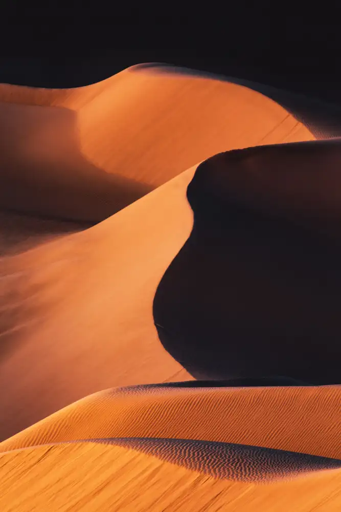 Qiu, Jenny: Sand Dunes under the Morning Sun