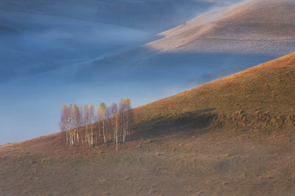 Coman, Ionut Alexandru: Chromatischer Sonnenaufgang