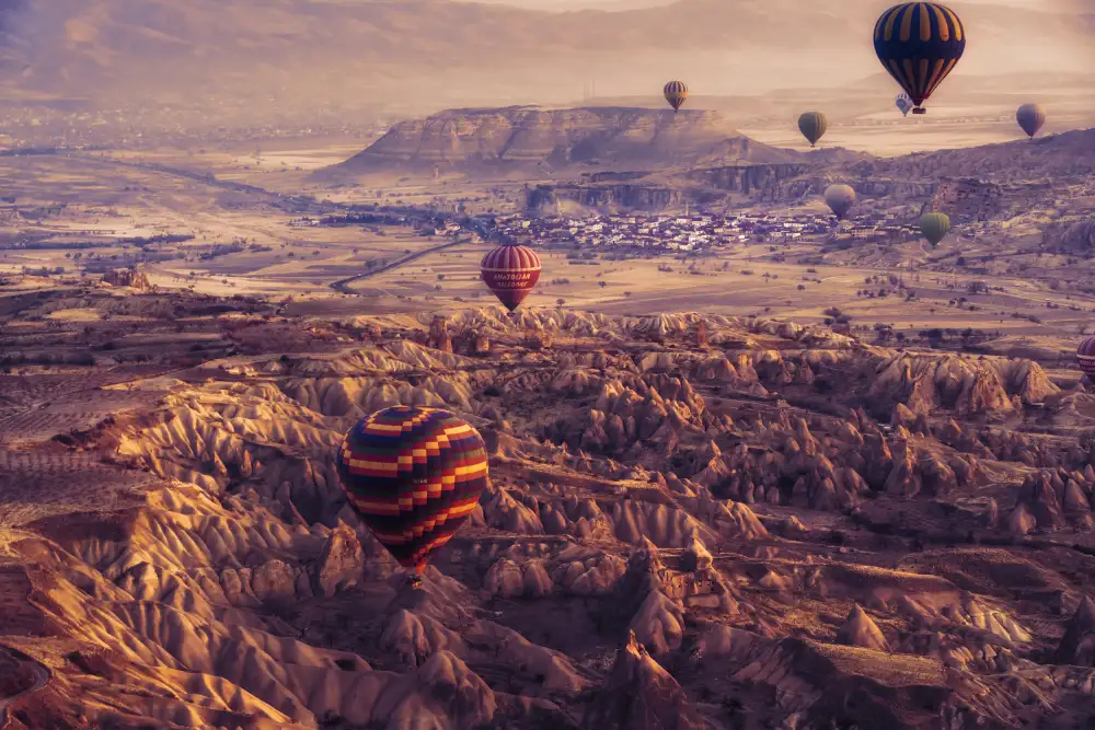 nedelcu, ian mihai: flight path