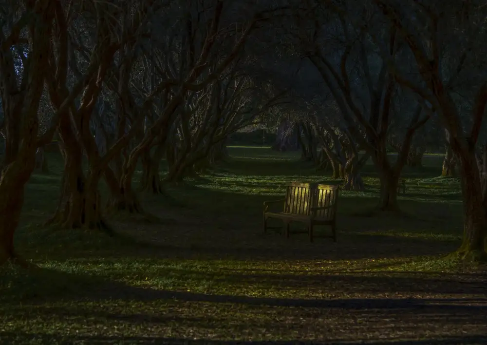 Tseng, Judy: Empty chair