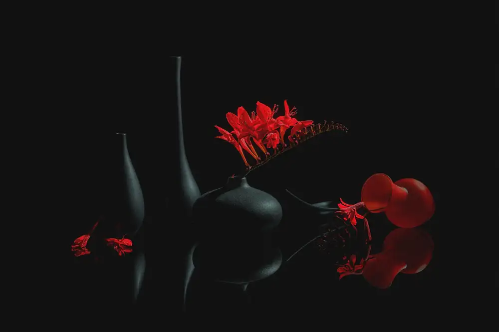 Jacobs, Lydia: Fleur charmante rouge