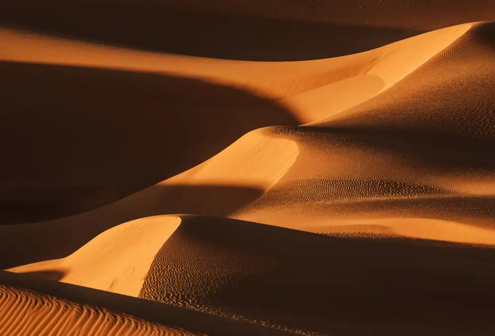 Qiu, Jenny: The Sand Dune Ladder