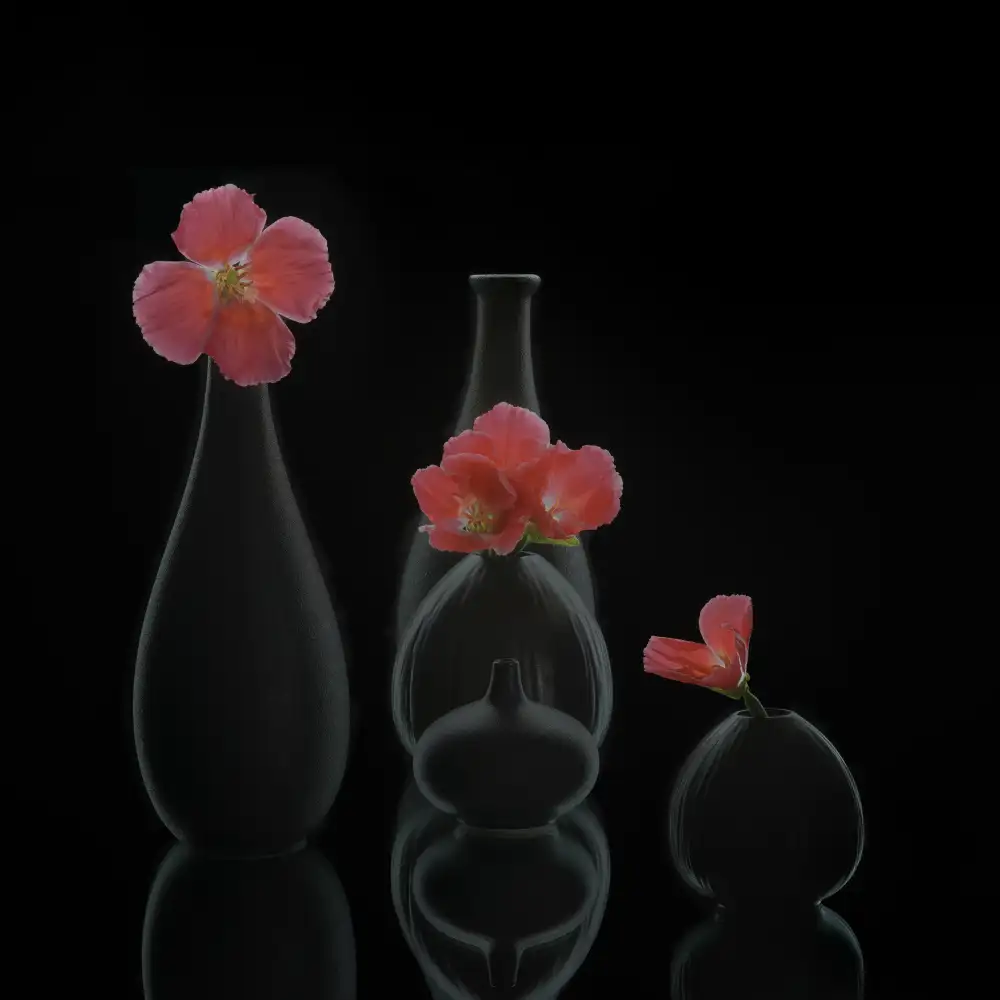 Sheng, Alice: natura morta 46