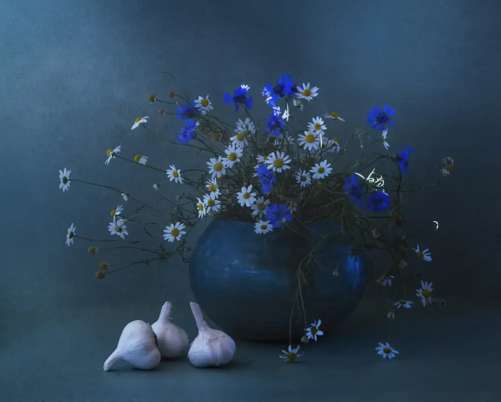 Tseng, Judy: Blue and white
