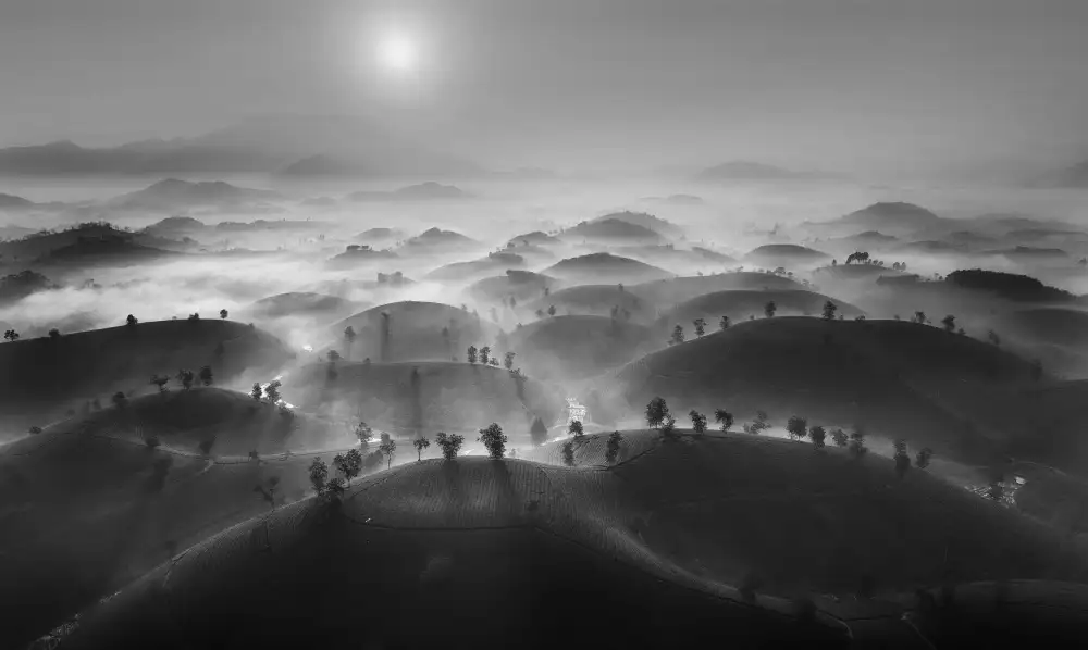 Tuan, Tan Nguyen: Nuovo giorno a Long Coc Tea Hill