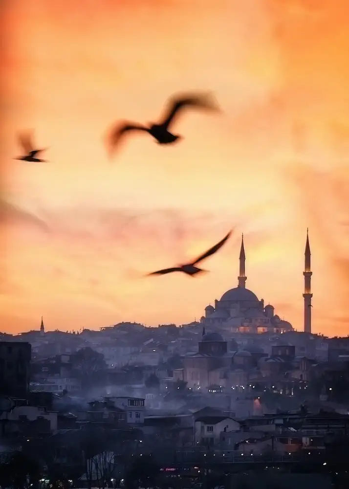 Lopez, Bartolome: Sonnenuntergang in Istanbul