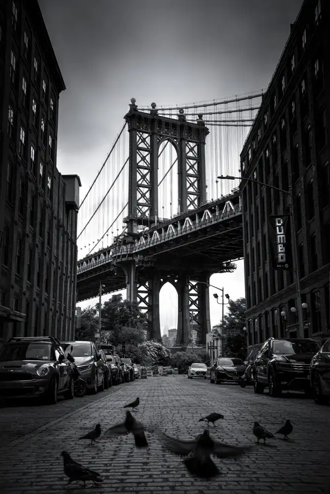 Catherine, W.: Dumbo – NYC