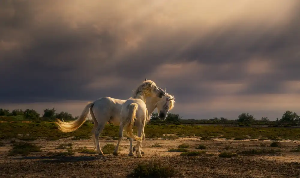 Joanaduenas: After the storm...light! A732210