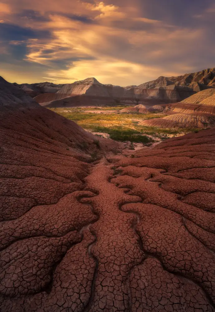 P., Ruiqing: Armonía de las tierras baldías