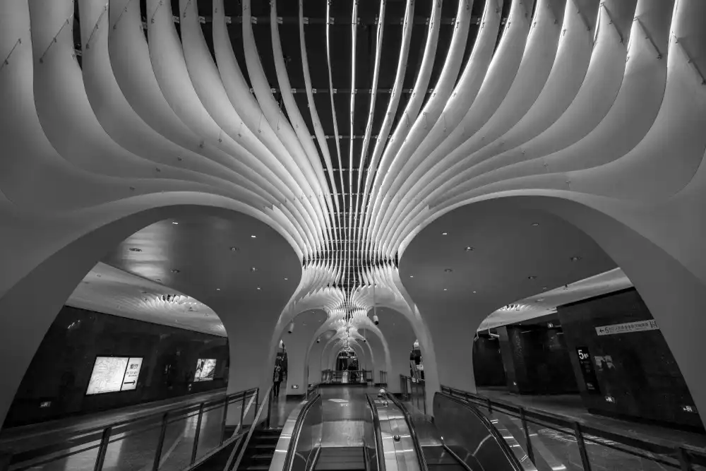 Liu, Ren Raymond: Le Curve e l'Illuminazione