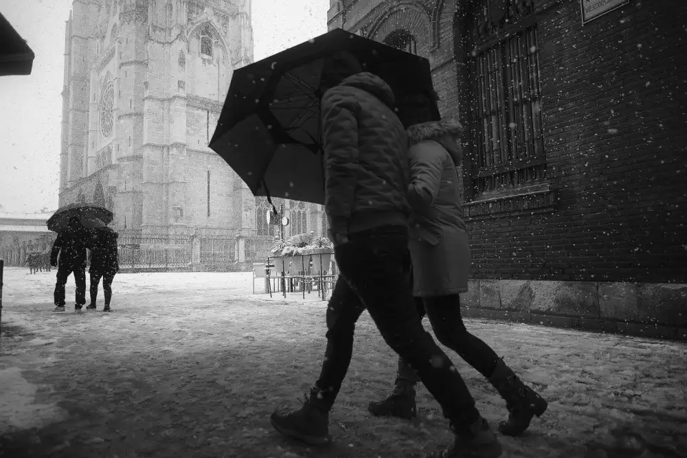 oskarRLS: PARAPET
