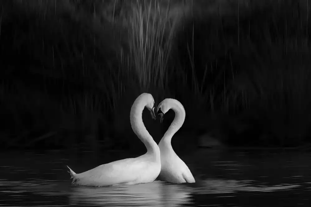 DonnaHom: Sign of Love