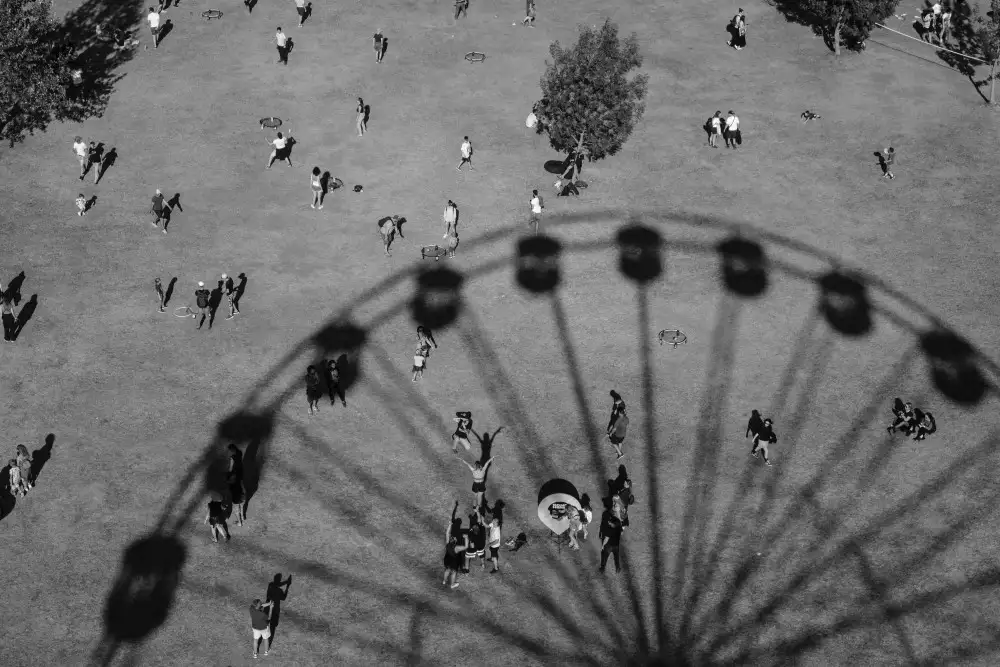 Stoica, Andra: Ants