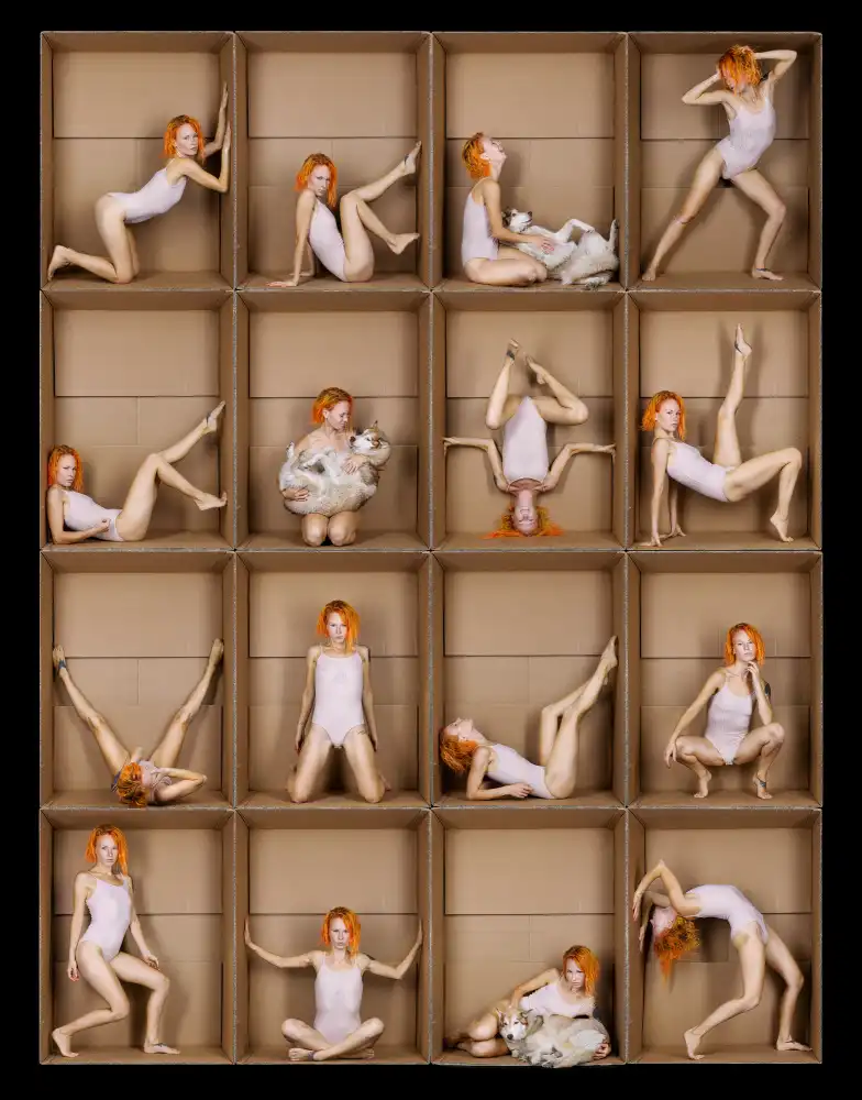 Allmaier, Michael: the fifth element