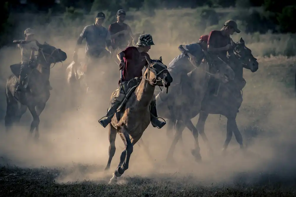 Alcalay, Eyal: Les chevaux