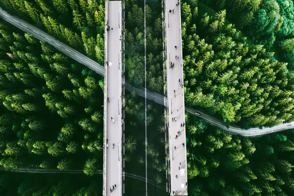 Dan, Ciupureanu: The bridge