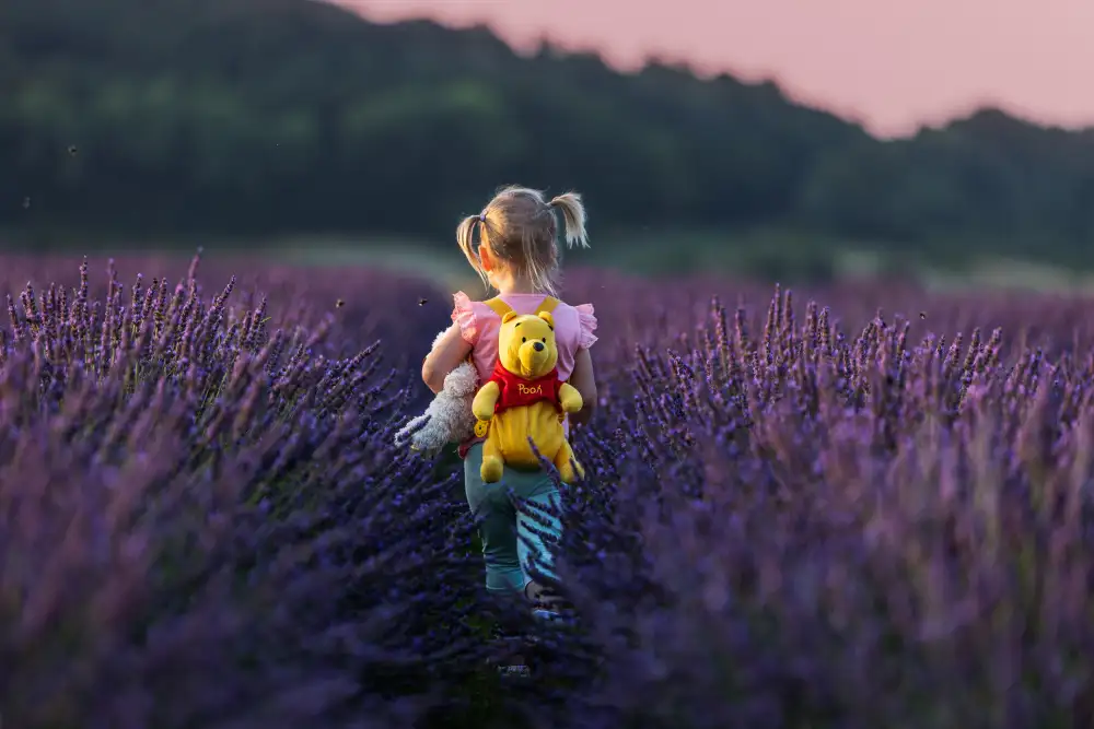 Stepanov, Dmitry: Viaggio di Winnie the Pooh nel mare di lavanda