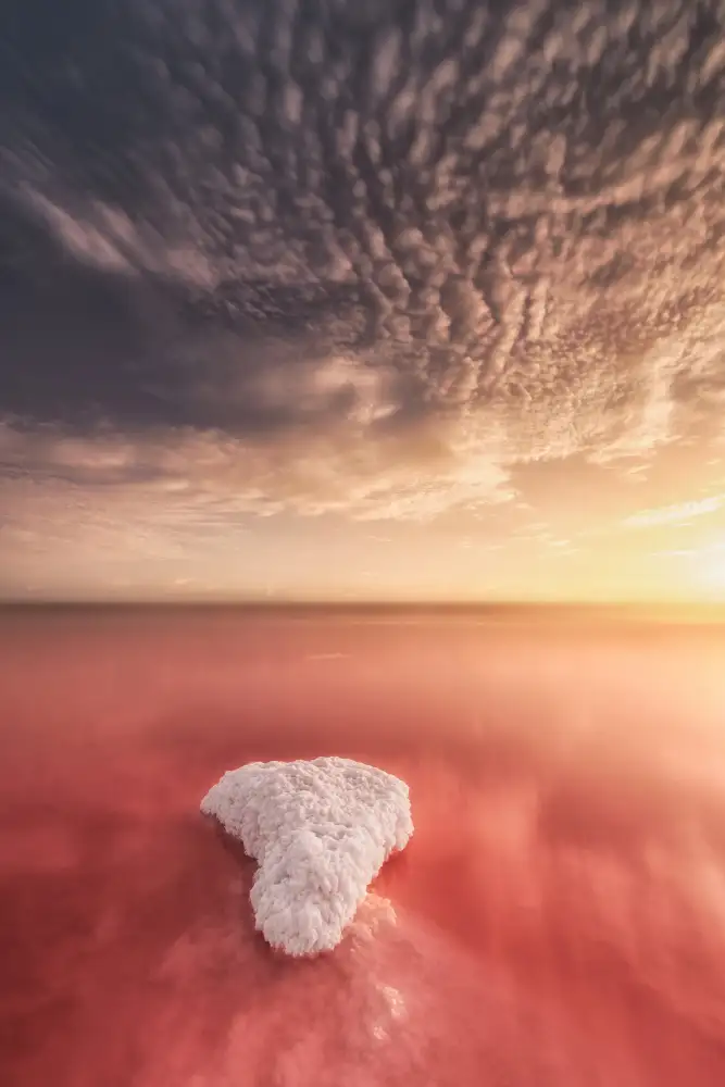 Sanchez, Antonio Jose: Salinas de Torrevieja,Espagne
