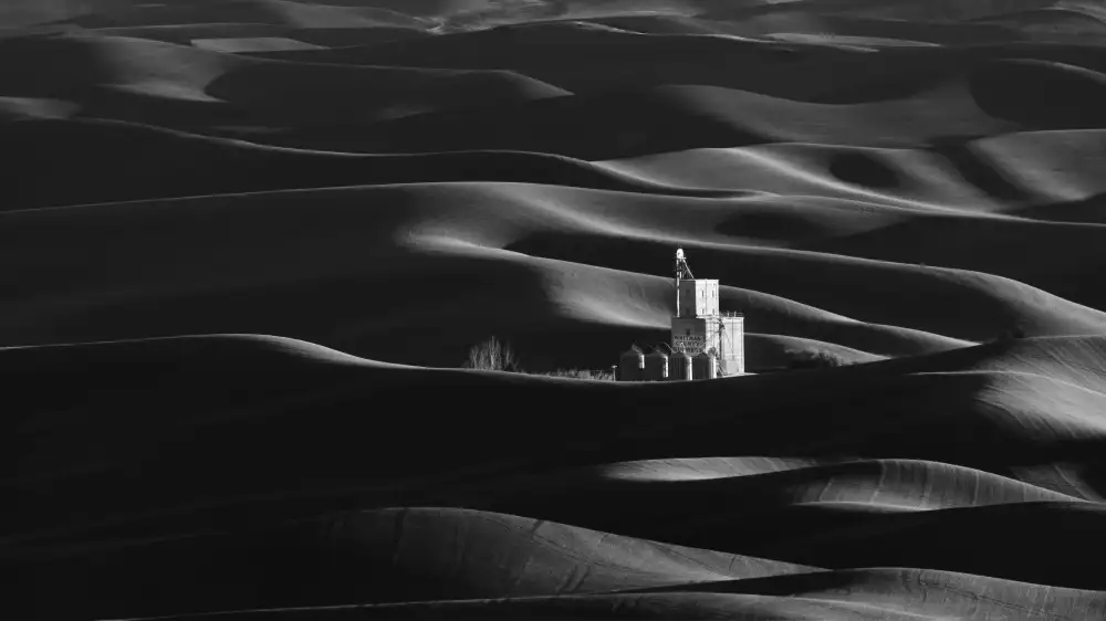 DonnaHom: The Farm Land