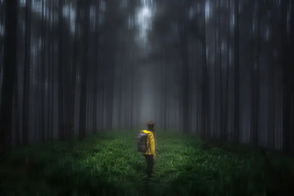 Sugita, Masaki: Foresta ansiosa