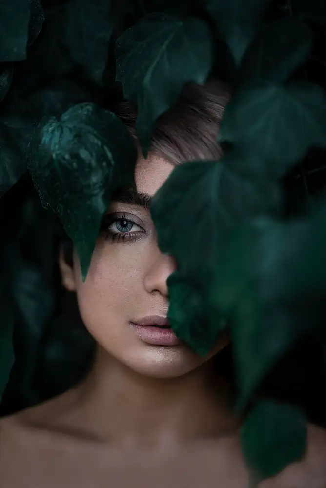 Hamedani, Ardalan: Son oeil