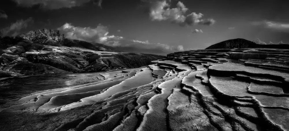 Arabzadeh, Abbas: Signore della natura