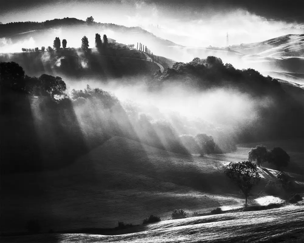 Prioteasa, Sebastian: Alba