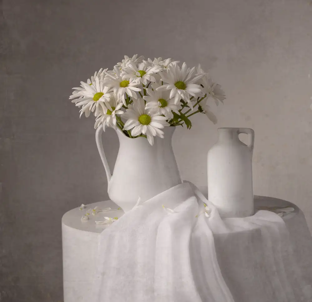 Perfoncio, Margareth: Daisy