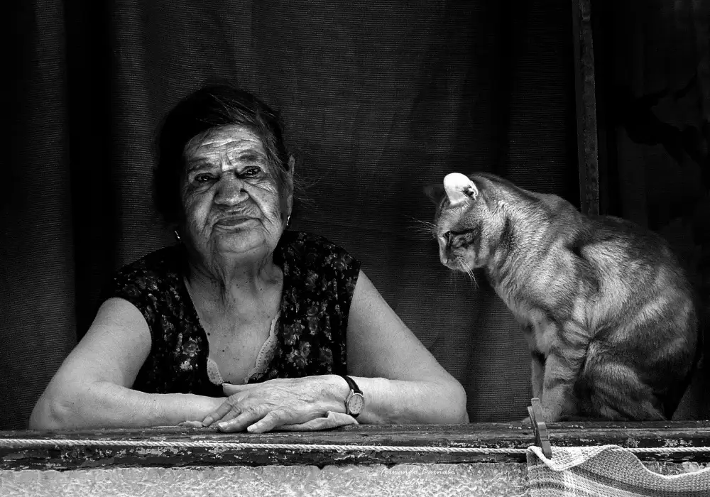 Ezequiel59: Signora alla finestra con il suo gatto
