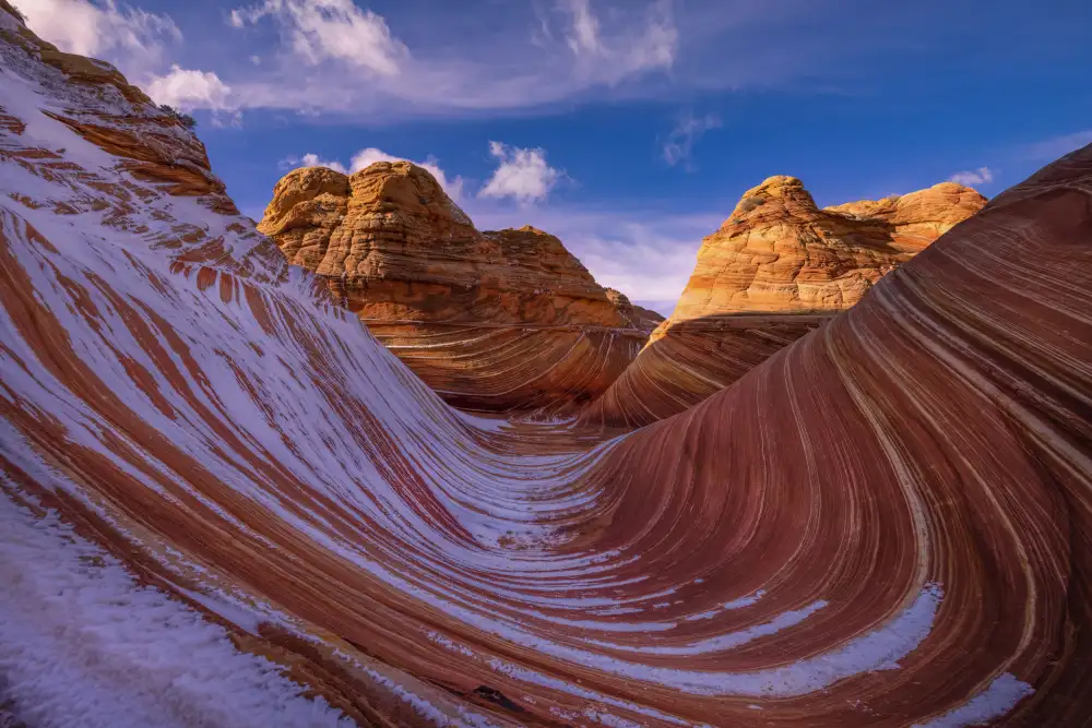 DonnaHom: Wave of Lines