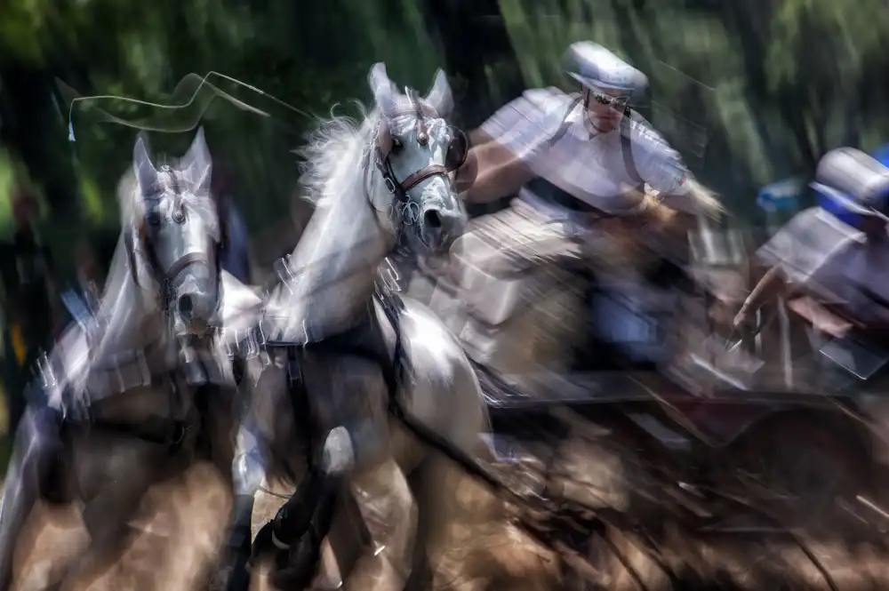 Malovrh, Milan: Hors-Marathon