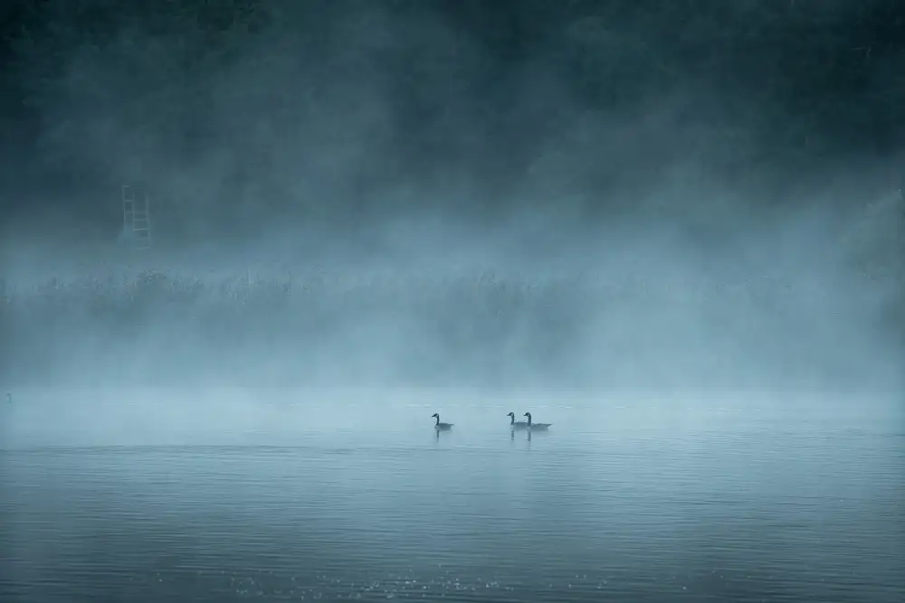 Lindsten, Christian: Lac sombre et brumeux