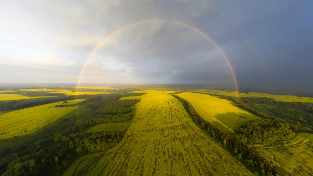 Doronin, Dmitry: Uno sguardo esotico all'arcobaleno