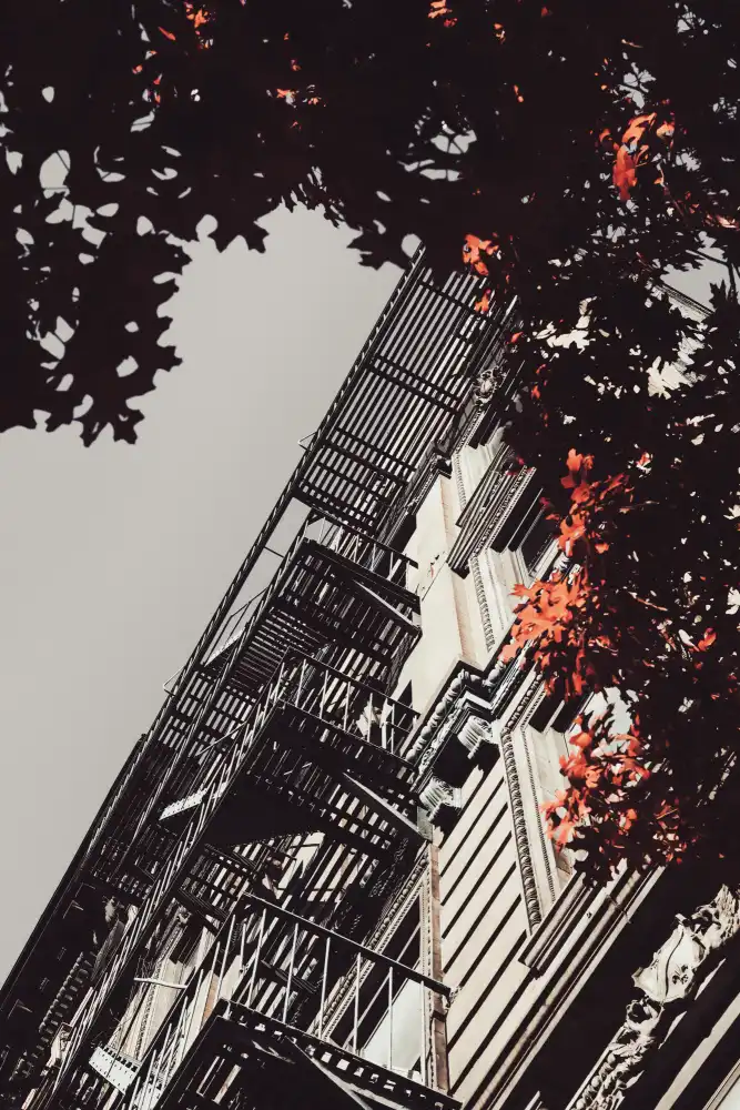 Martin, Rikard: Autunno a New York