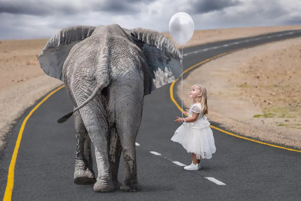 Egger, Marcel: Ciao Signor Elefante