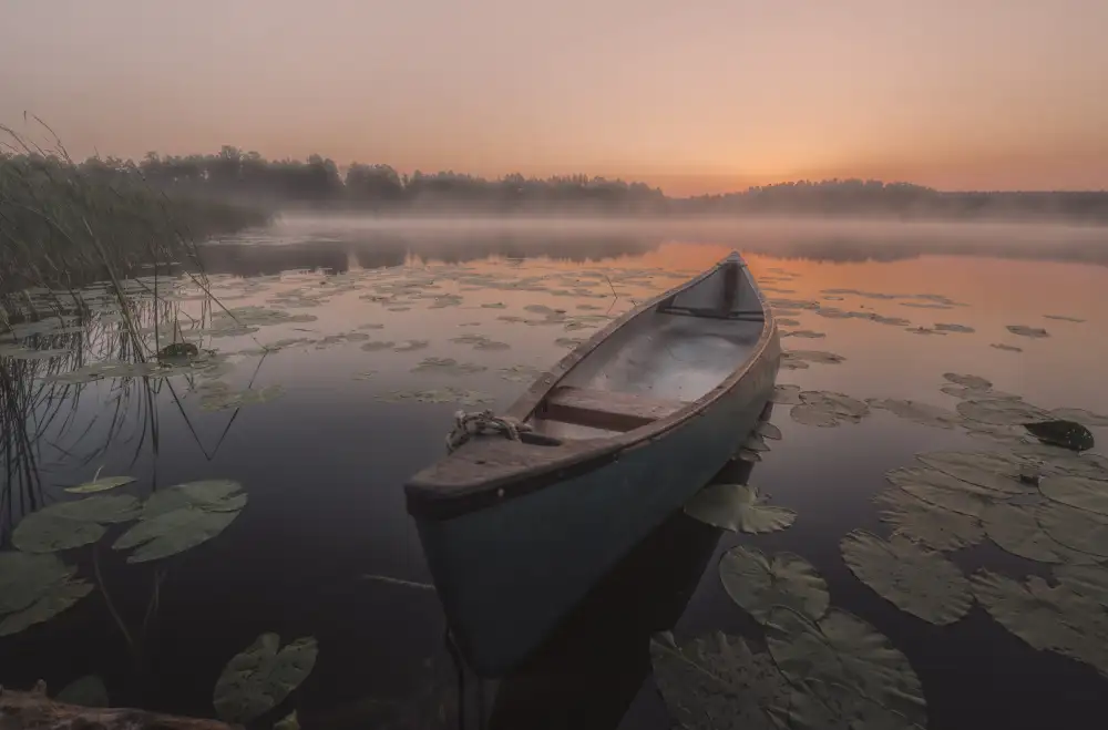 Budyta, Dariusz: Bote