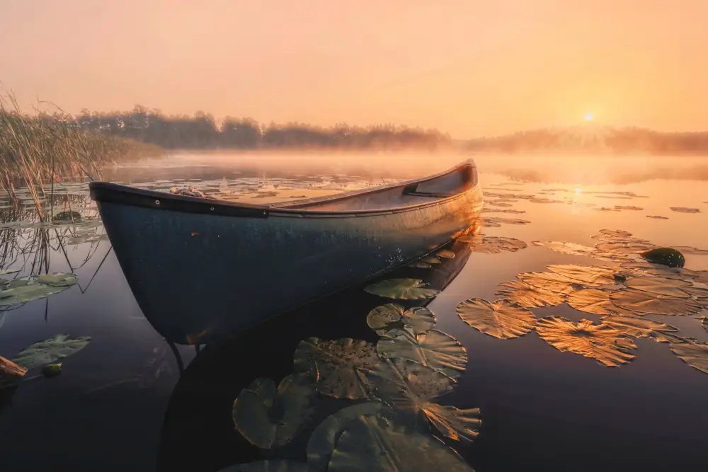 Budyta, Dariusz: Amanecer en la niebla
