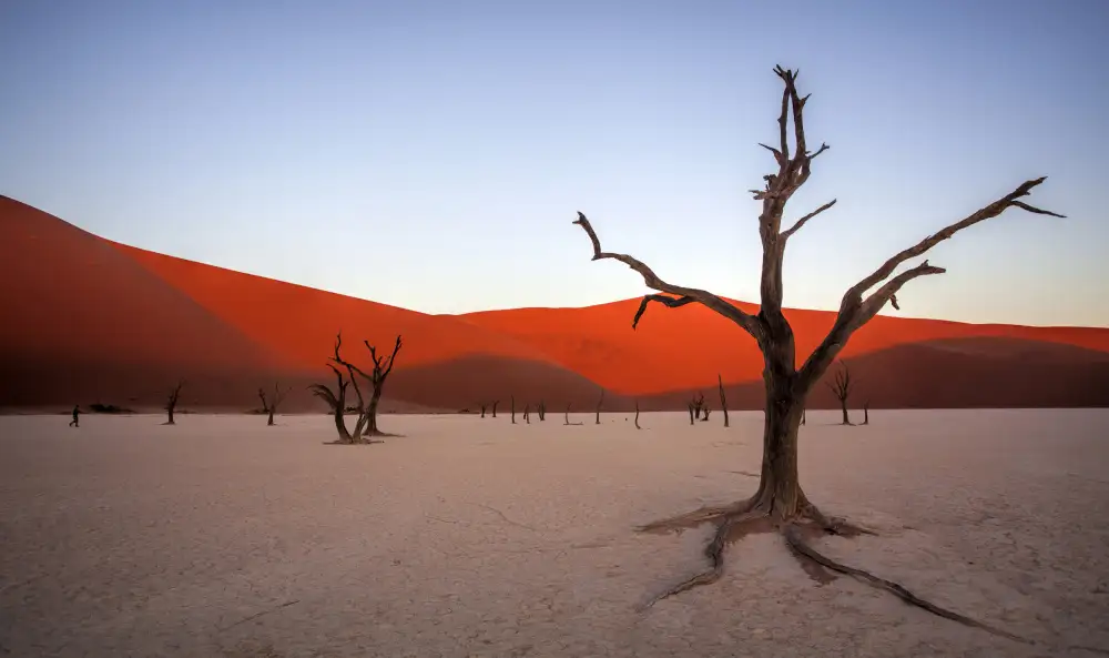 Wiener, Iris: Deadvlei,Namibia