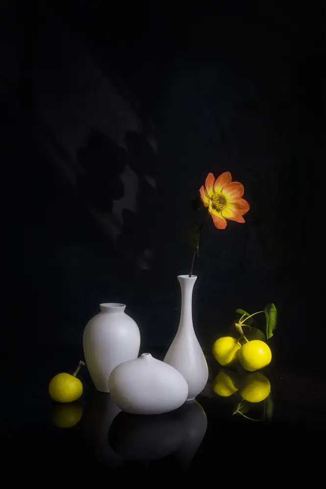 Jacobs, Lydia: Lumière de l'après-midi