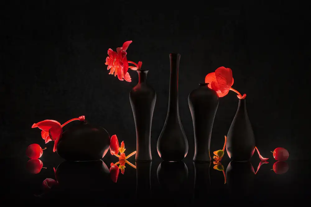 Jacobs, Lydia: Bégonias rouges
