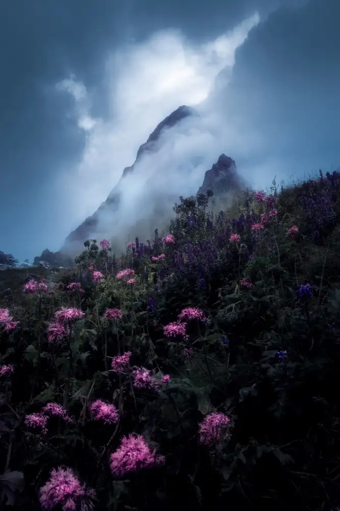 Morávek, Martin: Fiori e nebbia