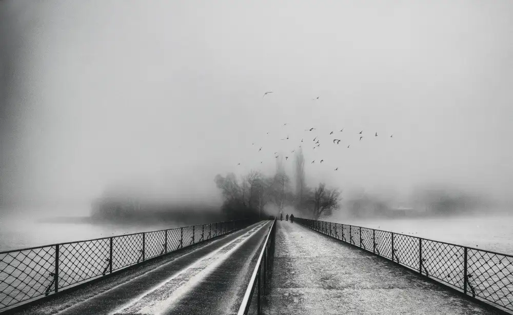 Hermann, Uschi: foggy day