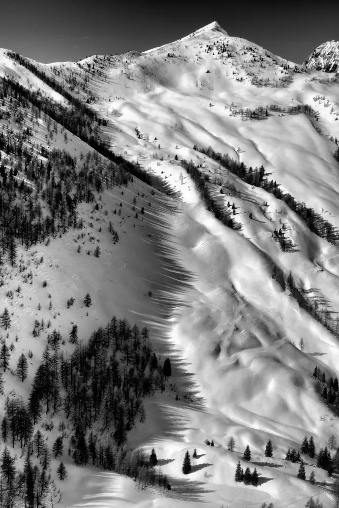 Klabus, Aleš: Ombre basse del sole invernale 2