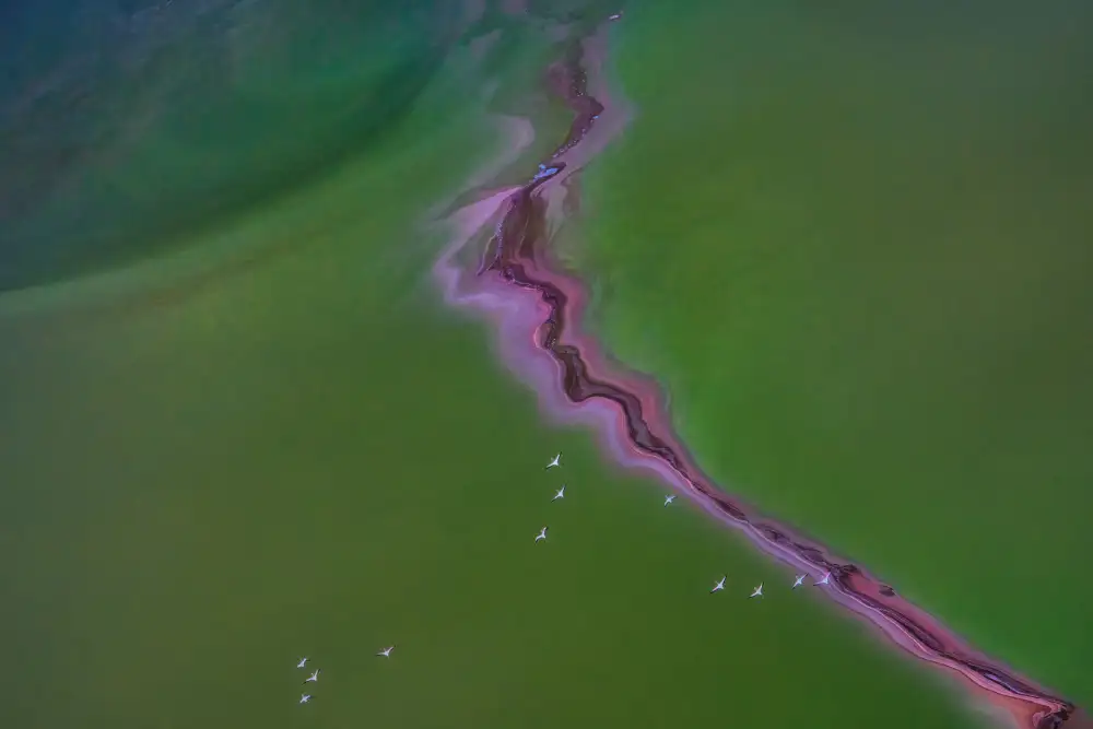 LI, MIN: RÍO DESDE EL CIELO