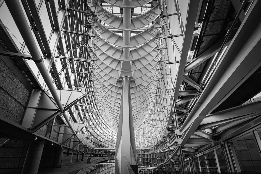 Hayama, Makihiko: Tensegrity
