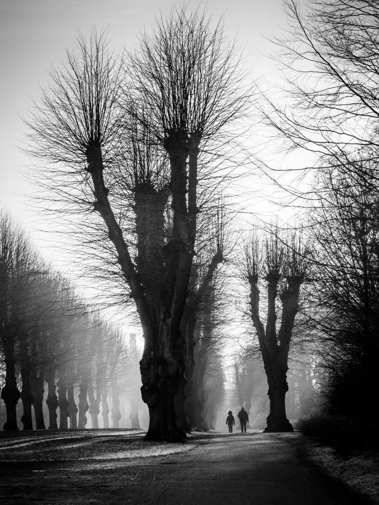 Nielsen, Stefan: Matin d'hiver