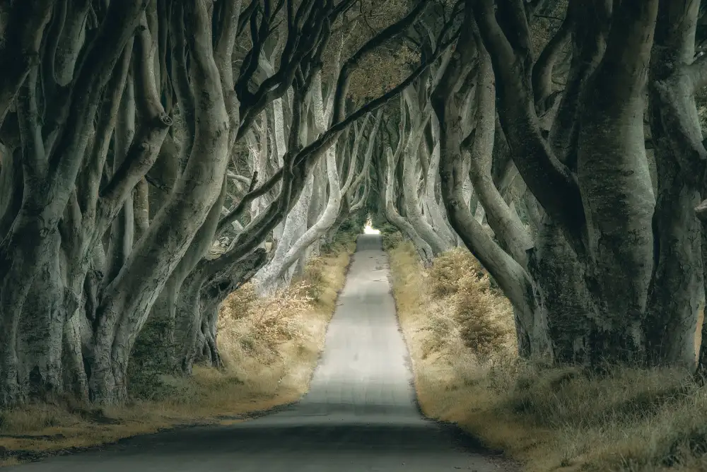 Kreiten, Mike: Haies irlandaises